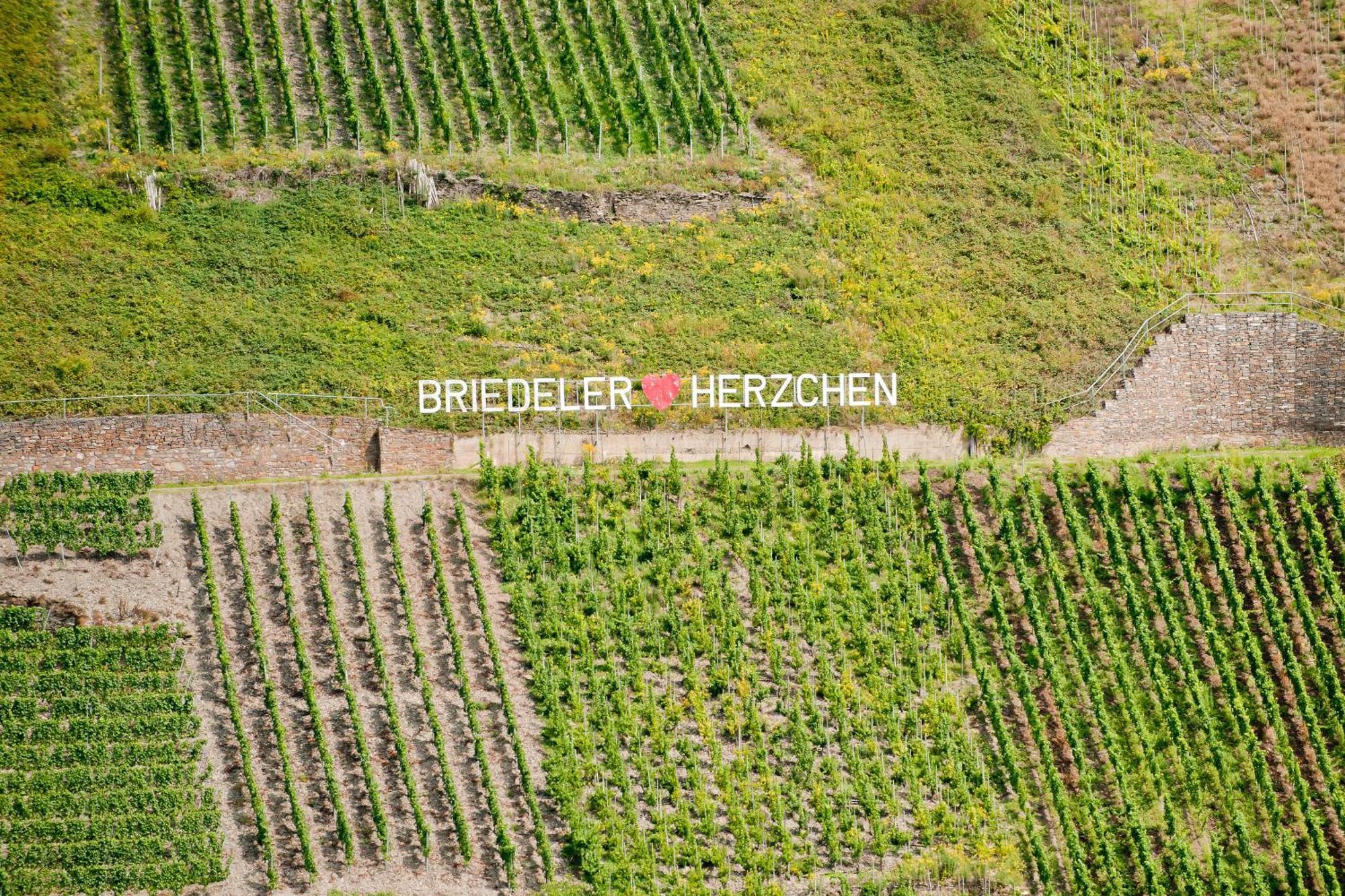 Wein- Und Sektgut Markus Hensler Briedel Exterior photo